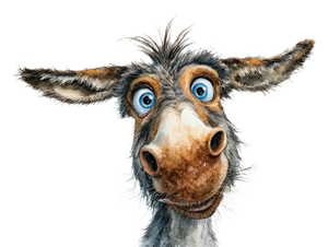 Confused Cartoon Donkey Vinyl Car Decal Sticker – Waterproof & UV-Resistant 6.1866666666666665"