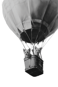 Kittens In Balloon Vinyl Car Decal Sticker – Waterproof & UV-Resistant 4.4