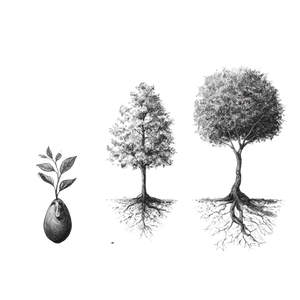 Tree Growth Stages V3 Vinyl Car Decal Sticker – Waterproof & UV-Resistant 6.826666666666667"