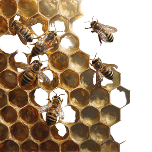 Golden Hive Bees Vinyl Car Decal Sticker – Waterproof & UV-Resistant 6.826666666666667"
