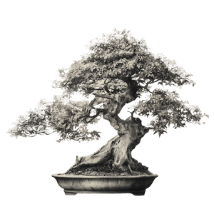 Realistic Bonsai Drawing Vinyl Car Decal Sticker – Waterproof & UV-Resistant 3.4133333333333336"