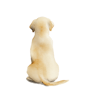 Abstract Labrador Puppy Vinyl Car Decal Sticker – Waterproof & UV-Resistant 6.826666666666667"