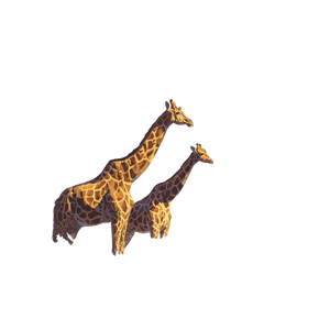Giraffes In Africa Vinyl Car Decal Sticker – Waterproof & UV-Resistant 6.826666666666667"