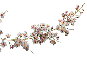 Delicate Flowers Branch Vinyl Car Decal Sticker – Waterproof & UV-Resistant 6.0