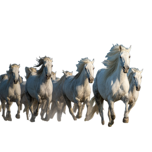 Thundering Wild Horses Vinyl Car Decal Sticker – Waterproof & UV-Resistant 3.4133333333333336"