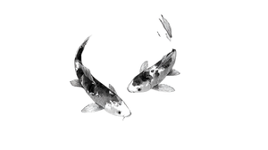 Sumi-E Koi Fish Vinyl Car Decal Sticker – Waterproof & UV-Resistant 2.72" Sumi-E Koi Fish Vinyl Car Decal Sticker – Waterproof & UV-Resistant 2.72"