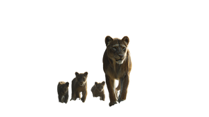 Lioness With Cubs V6 Vinyl Car Decal Sticker – Waterproof & UV-Resistant 2.72"