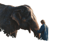 Rescued Elephant Care Vinyl Car Decal Sticker – Waterproof & UV-Resistant 2.986666666666667"