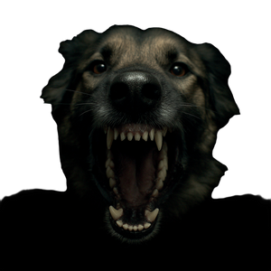 Vicious Dogs Teeth Vinyl Car Decal Sticker – Waterproof & UV-Resistant 3.4133333333333336"