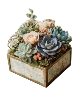 Succulent Geometric Arrangement Vinyl Car Decal Sticker – Waterproof & UV-Resistant 3.946666666666666 Succulent Geometric Arrangement Vinyl Car Decal Sticker – Waterproof & UV-Resistant 3.946666666666666