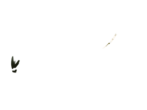 Lush Hanging Plants Vinyl Car Decal Sticker – Waterproof & UV-Resistant 3.0933333333333333"