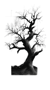 Old Tree Tattoo Vinyl Car Decal Sticker – Waterproof & UV-Resistant 9.706666666666667"