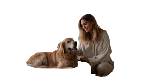 Golden Retriever Resting Vinyl Car Decal Sticker – Waterproof & UV-Resistant 2.72"