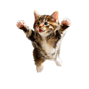 Happy Kitten V4 Vinyl Car Decal Sticker – Waterproof & UV-Resistant 3.4133333333333336"