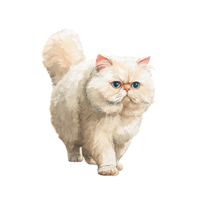 Cute Persian Cat V4 Vinyl Car Decal Sticker – Waterproof & UV-Resistant 6.826666666666667"