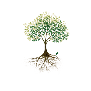 Minimalist Tree Icon V2 Vinyl Car Decal Sticker – Waterproof & UV-Resistant 3.4133333333333336"