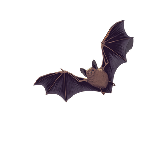 Flying Bat Vineyard Vinyl Car Decal Sticker – Waterproof & UV-Resistant 3.4133333333333336"