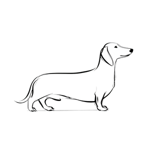 Cute Dachshund Drawing Vinyl Car Decal Sticker – Waterproof & UV-Resistant 3.4133333333333336" Cute Dachshund Drawing Vinyl Car Decal Sticker – Waterproof & UV-Resistant 3.4133333333333336"