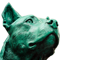 Green Dog Vinyl Car Decal Sticker – Waterproof & UV-Resistant 2.986666666666667"
