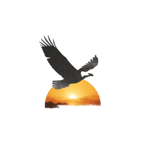 Eagle Freedom Logo Vinyl Car Decal Sticker – Waterproof & UV-Resistant 6.826666666666667"