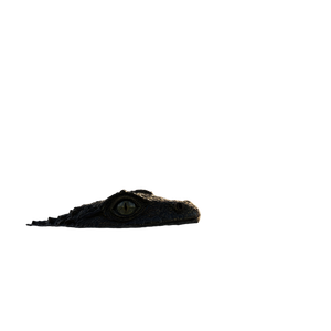 Ancestral Salamander Sunset Vinyl Car Decal Sticker – Waterproof & UV-Resistant 6.826666666666667"