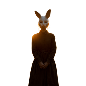 Rabbit Mask Girl V2 Vinyl Car Decal Sticker – Waterproof & UV-Resistant 3.4133333333333336" Rabbit Mask Girl V2 Vinyl Car Decal Sticker – Waterproof & UV-Resistant 3.4133333333333336"