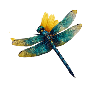 Turquoise Dragonfly Sunflower Vinyl Car Decal Sticker – Waterproof & UV-Resistant 3.4133333333333336" Turquoise Dragonfly Sunflower Vinyl Car Decal Sticker – Waterproof & UV-Resistant 3.4133333333333336"