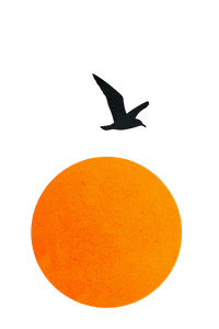 Sun And Seagull Vinyl Car Decal Sticker – Waterproof & UV-Resistant 8.96"