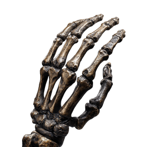 Skeleton Hand Vinyl Car Decal Sticker – Waterproof & UV-Resistant 6.826666666666667"