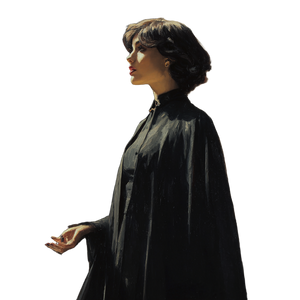 Dark-Haired Wizard Vinyl Car Decal Sticker – Waterproof & UV-Resistant 3.4133333333333336"