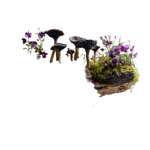 Mossy Driftwood Sculpture Vinyl Car Decal Sticker – Waterproof & UV-Resistant 3.4133333333333336"