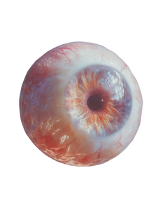 Surreal Eyeball Vinyl Car Decal Sticker – Waterproof & UV-Resistant 8.213333333333333"