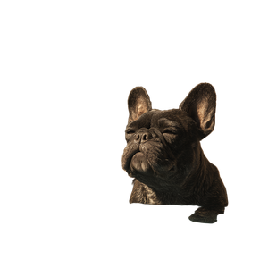 French Bulldog Relaxing Vinyl Car Decal Sticker – Waterproof & UV-Resistant 3.4133333333333336"