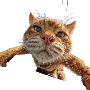 Ginger Cat Scooter V4 Vinyl Car Decal Sticker – Waterproof & UV-Resistant 6.826666666666667"