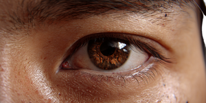 Brown Eye Close-Up V7 Vinyl Car Decal Sticker – Waterproof & UV-Resistant 5.12"