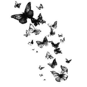 Black Ink Butterfly Vinyl Car Decal Sticker – Waterproof & UV-Resistant 6.826666666666667"