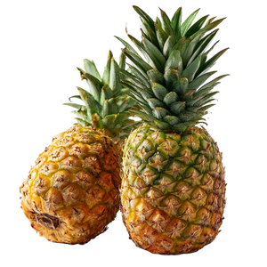 Pineapples Side View Vinyl Car Decal Sticker – Waterproof & UV-Resistant 3.4133333333333336"