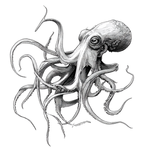 Kraken Sketch Vinyl Car Decal Sticker – Waterproof & UV-Resistant 3.4133333333333336"