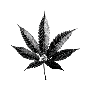 Minimalist Cannabis Leaf V2 Vinyl Car Decal Sticker – Waterproof & UV-Resistant 3.4133333333333336" Minimalist Cannabis Leaf V2 Vinyl Car Decal Sticker – Waterproof & UV-Resistant 3.4133333333333336"
