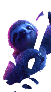 Magical Jungle Sloth Vinyl Car Decal Sticker – Waterproof & UV-Resistant 4.8533333333333335"