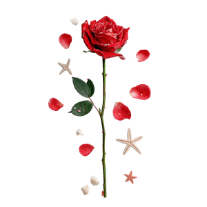 Starfish Rose Vinyl Car Decal Sticker – Waterproof & UV-Resistant 6.826666666666667"