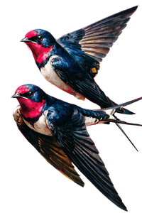 Floating Watercolor Swallows Vinyl Car Decal Sticker – Waterproof & UV-Resistant 8.96"