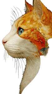Focused Cat Vinyl Car Decal Sticker – Waterproof & UV-Resistant 4.8533333333333335" Focused Cat Vinyl Car Decal Sticker – Waterproof & UV-Resistant 4.8533333333333335"