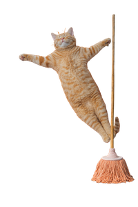 Flying Cat Billboard Vinyl Car Decal Sticker – Waterproof & UV-Resistant 4.4
