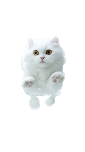 Floating Water Cat Vinyl Car Decal Sticker – Waterproof & UV-Resistant 4.8533333333333335"