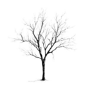 Minimalistic Leafless Tree Vinyl Car Decal Sticker – Waterproof & UV-Resistant 3.4133333333333336"