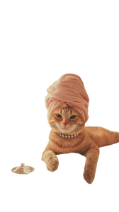 Chill Orange Cat V2 Vinyl Car Decal Sticker – Waterproof & UV-Resistant 9.706666666666667"