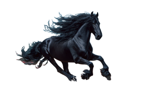 Galloping Friesian Horse V4 Vinyl Car Decal Sticker – Waterproof & UV-Resistant 5.97333333333333