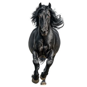 Arabian Stallion Galloping V2 Vinyl Car Decal Sticker – Waterproof & UV-Resistant 3.4133333333333336"