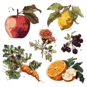 Botanical Fruits Sketch Vinyl Car Decal Sticker – Waterproof & UV-Resistant 3.4133333333333336"